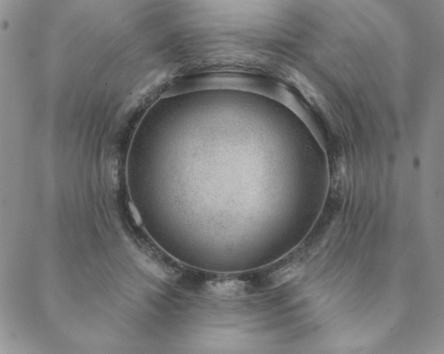 X0000089860452200706281255