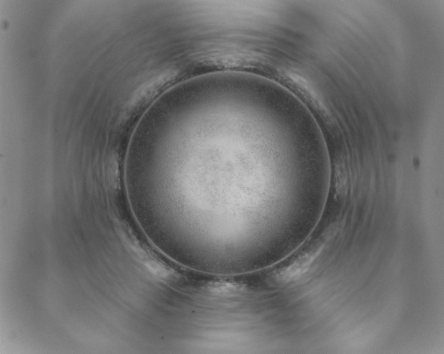 X0000089860453200706281255