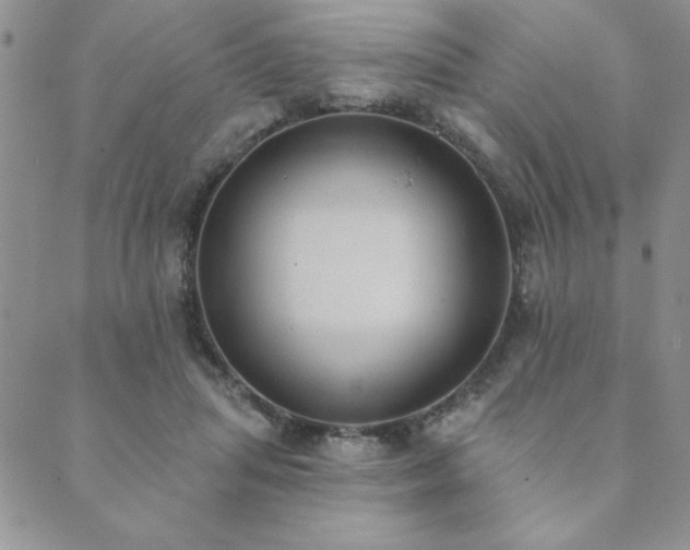X0000089860455200706281255