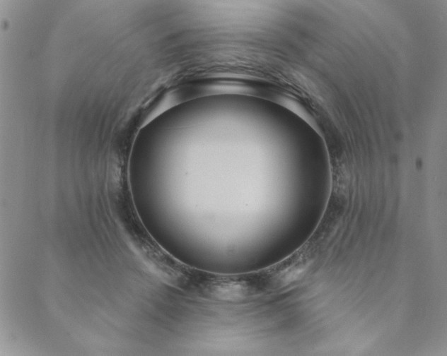 X0000089860456200706281255