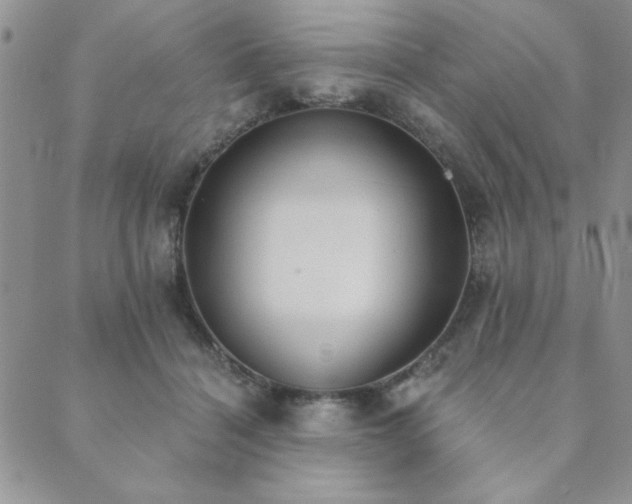 X0000089860460200706281255