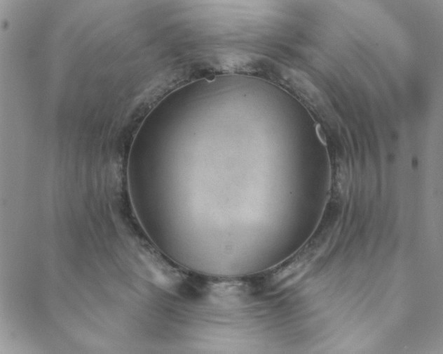 X0000089860461200706281255