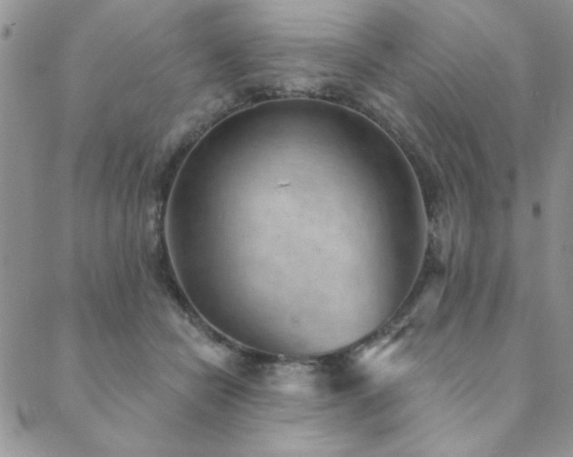 X0000089860462200706281255