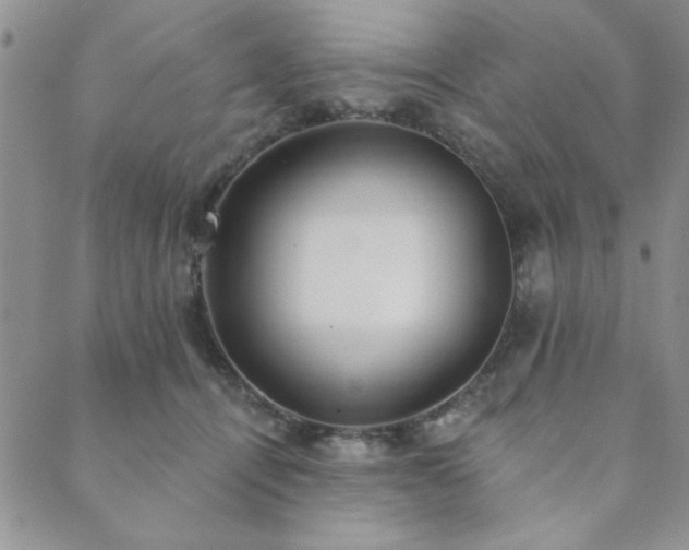 X0000089860464200706281255