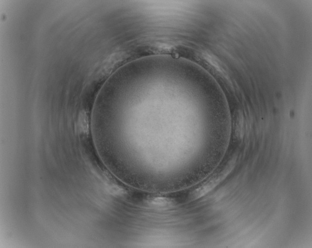 X0000089860467200706281255