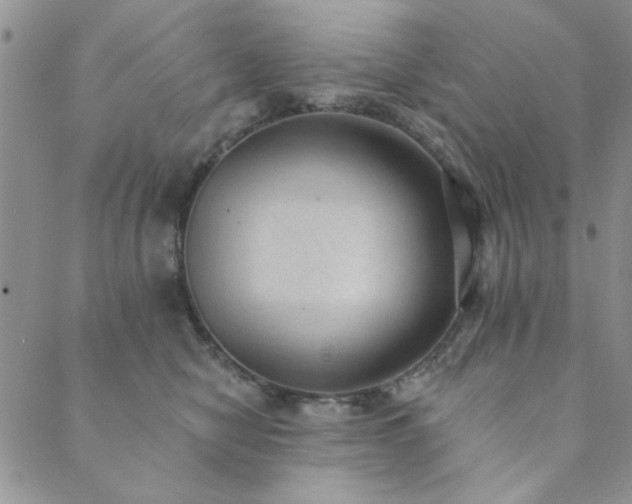X0000089860470200706281255