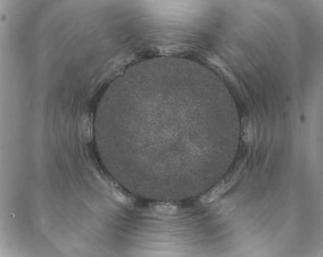 X0000089860471200706281255