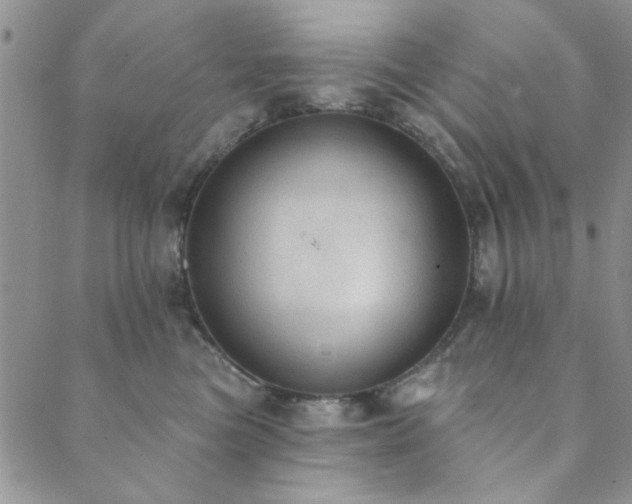 X0000089860473200706281255
