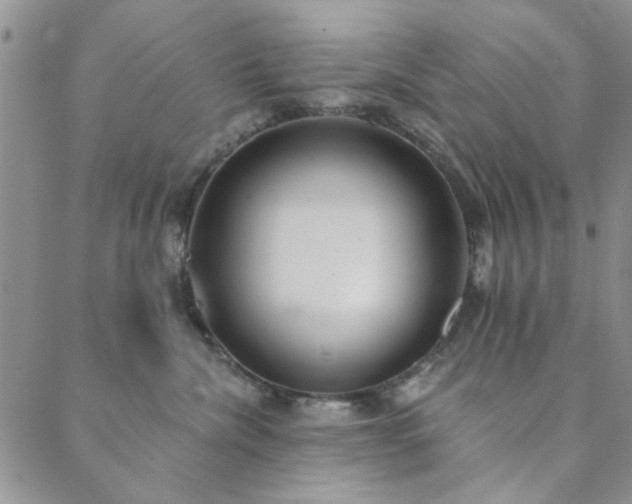 X0000089860476200706281255