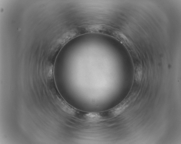 X0000089860477200706281255
