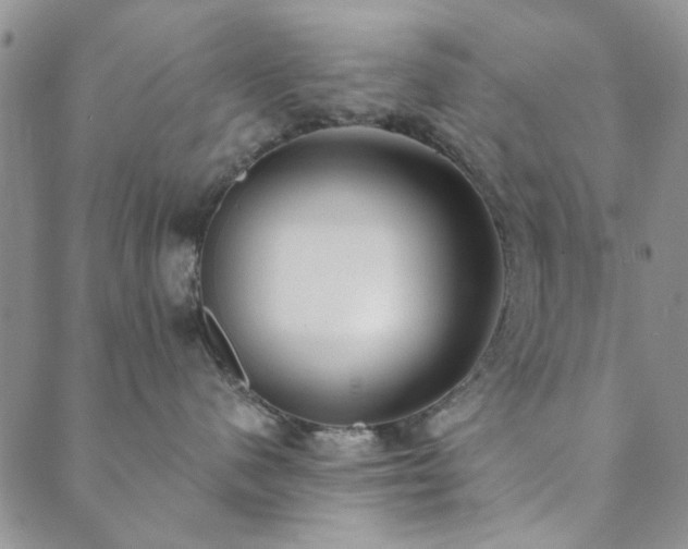 X0000089860480200706281255