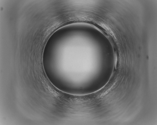 X0000089860481200706281254