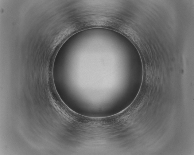 X0000089860482200706281254