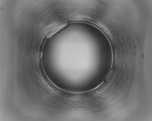 X0000089860485200706281254