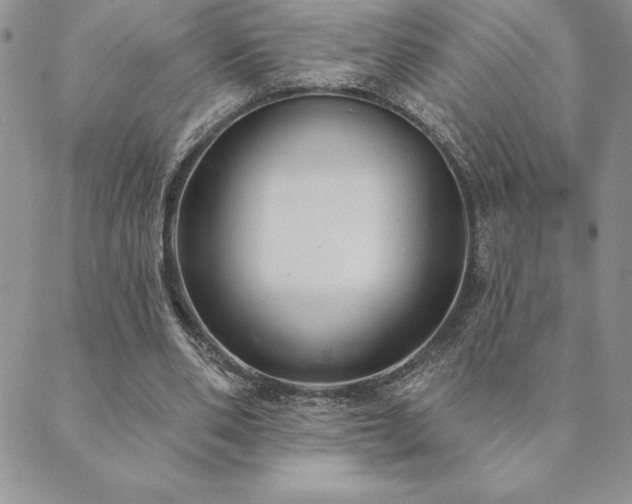 X0000089860486200706281254