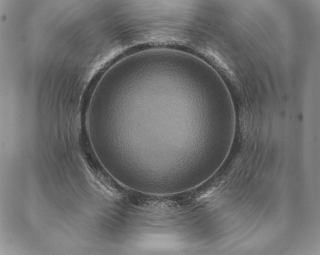 X0000089860488200706281254