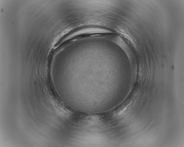 X0000089860492200706281254