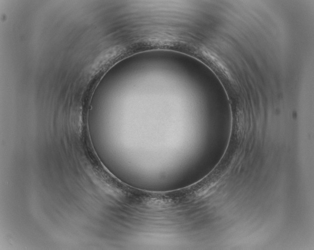 X0000089860494200706281254
