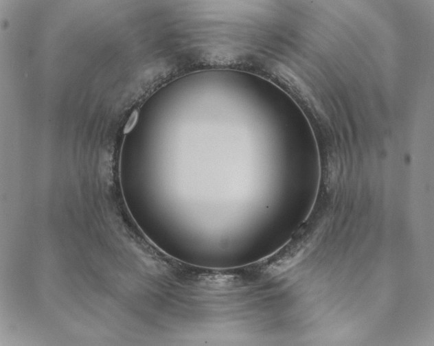 X0000089860497200706281254