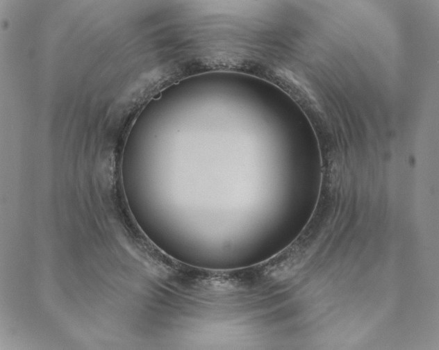 X0000089860498200706281254