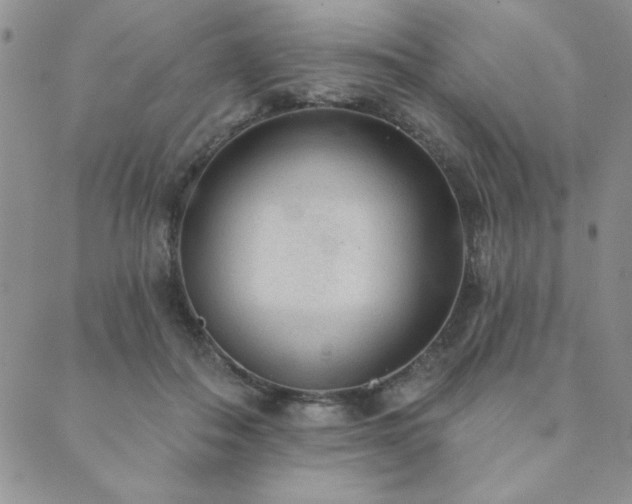 X0000089860506200706281254
