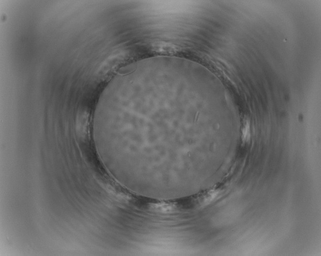 X0000089860511200706281254