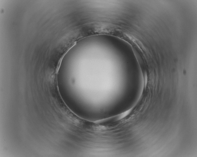 X0000089860513200706281254