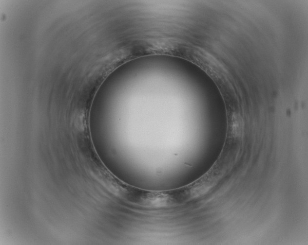 X0000089860514200706281254