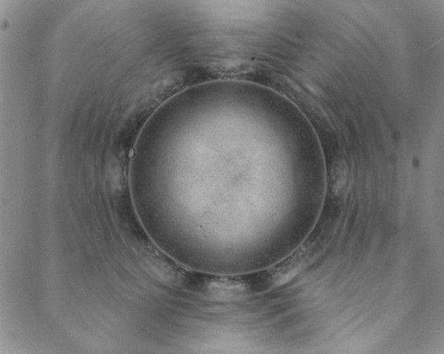 X0000089860515200706281254
