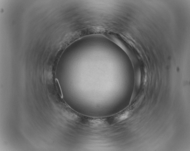X0000089860516200706281254