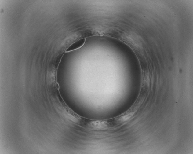 X0000089860526200706281254