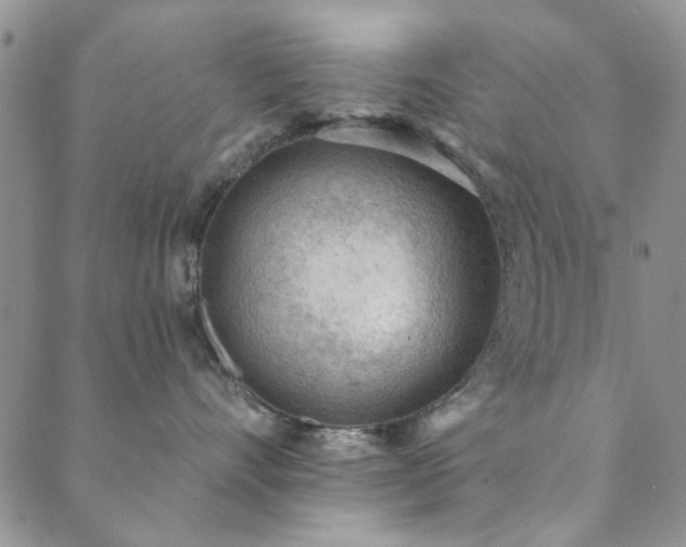 X0000089860528200706281254
