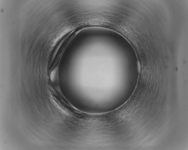 X0000089860530200706281253