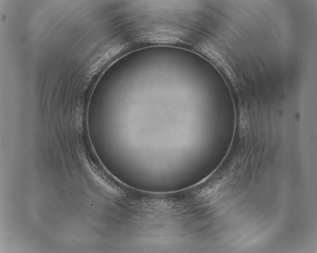 X0000089860533200706281253