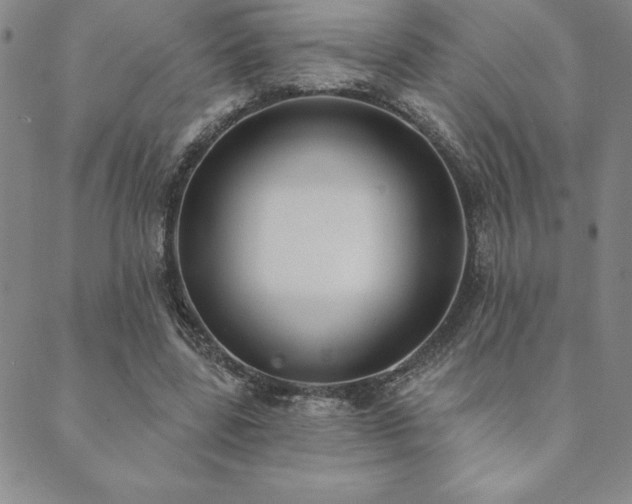 X0000089860539200706281253