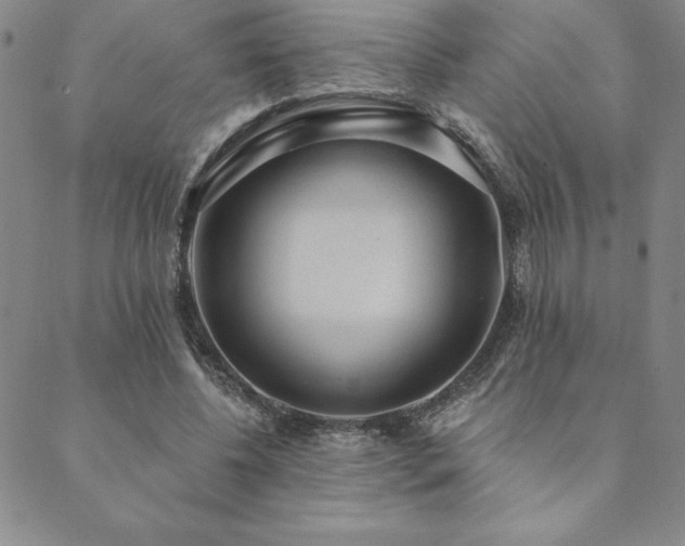 X0000089860540200706281253