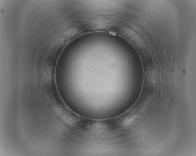 X0000089860546200706281253