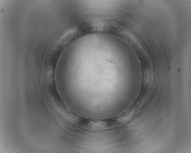 X0000089860557200706281253