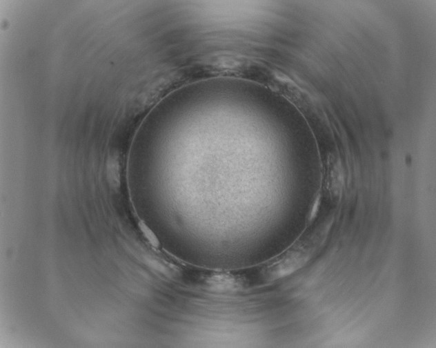 X0000089860562200706281253