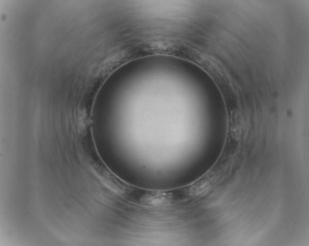 X0000089860563200706281253