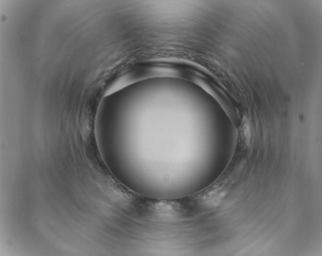 X0000089860566200706281254