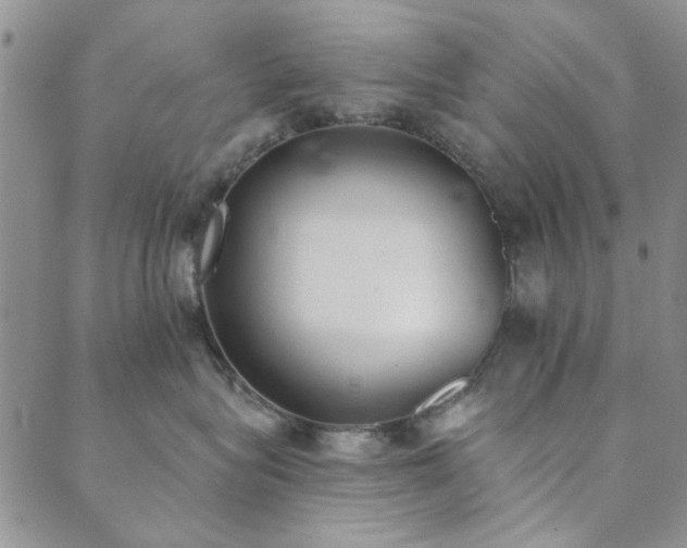 X0000089860575200706281254