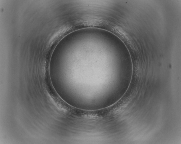 X0000089860586200706281253