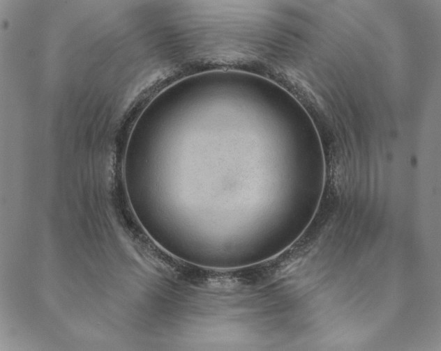 X0000089860591200706281253