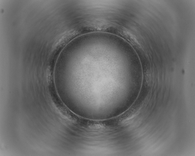 X0000089860594200706281253