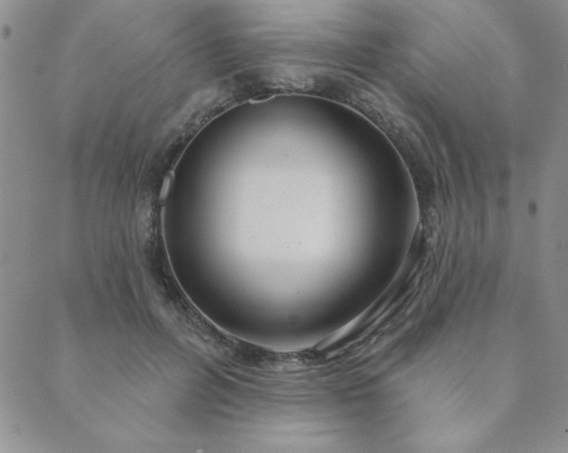 X0000089860600200706281253