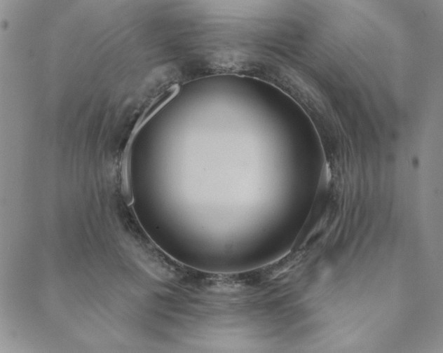 X0000089860601200706281253