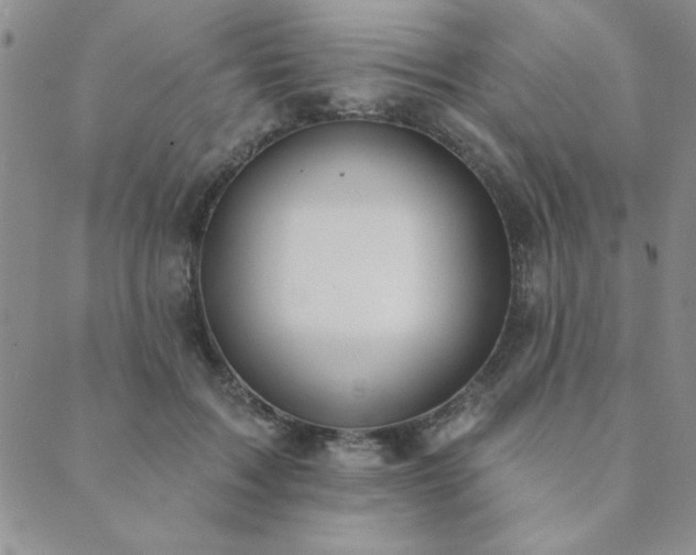 X0000089860603200706281252