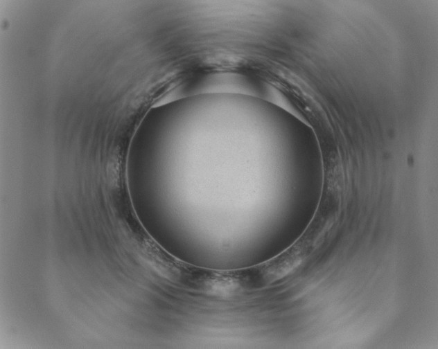 X0000089860604200706281252