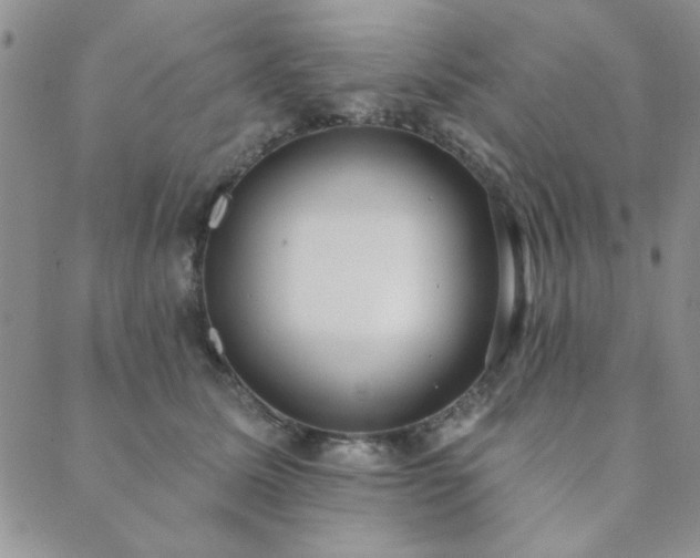 X0000089860611200706281252